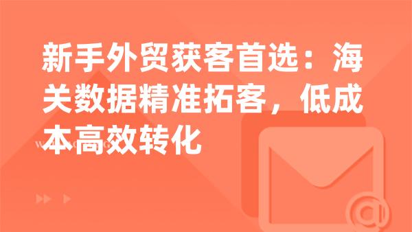新手外贸获客首选：海关数据精准拓客，低成本高效转化