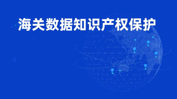 海关数据知识产权保护
