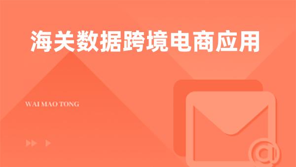 海关数据跨境电商应用